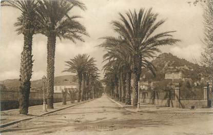 CPA FRANCE 83 " Hyères, Avenue Victoria".