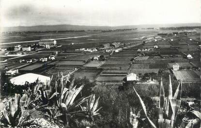 CPSM FRANCE 83 " Hyères Les Palmiers, Le Palyvestre".