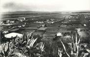 83 Var CPSM FRANCE 83 " Hyères Les Palmiers, Le Palyvestre".