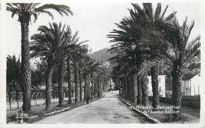 CPSM FRANCE 83 " Hyères, Perspective de l'Avenue Godillot".