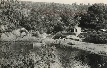 CPSM FRANCE 83 " Ile du Levant, Plage des titans".