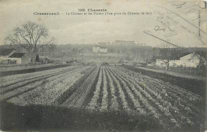 CPA FRANCE 16 "Chasseneuil, Le château et les piniers".