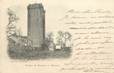 CPA FRANCE 32 " Mirande, Le château de Bassoues".