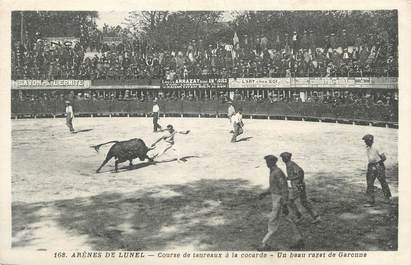 CPA FRANCE 34 "Lunel, Les arènes, course de taureaux à la cocarde".