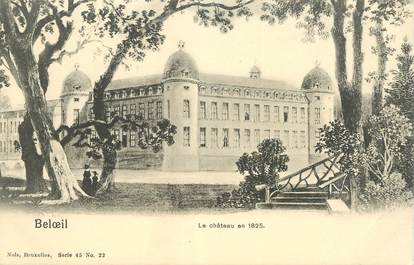 CPA BELGIQUE "Beloeil, le chateau"