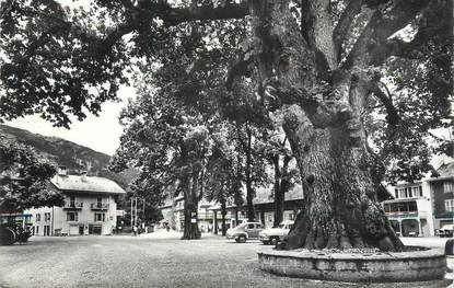 CPSM FRANCE 74 " Samoëns, La place et le gros tilleul".