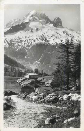 CPSM FRANCE 74 " Argentières, Le village de Tréléchamp et l'Aiguille Verte".