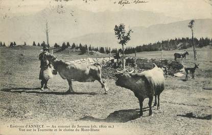 CPA FRANCE 74 "Le Sémmoz, Vue sur la Tournette et la chaîne du Mont Blanc".