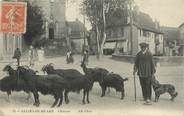 64 PyrÉnÉe Atlantique CPA FRANCE 64 "Saliès de Béarn, Chevrier". / CHEVRES