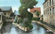76 Seine Maritime CPSM FRANCE 76 "Cany Barville, La Durdent".