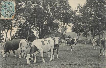 CPA FRANCE 25 "Les montagnes du Doubs, Un pâturage". / VACHES