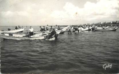 CPSM FRANCE 14 "Langrune sur Mer, Ramassage du Goëmon".