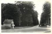 27 Eure CPSM FRANCE 27 "Les Hogues, La forêt".