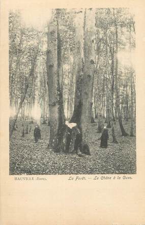 CPA FRANCE 27 "Hauville, La forêt, le chêne à la Cuve".