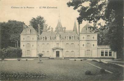 CPA FRANCE 14 "Le Pin, Le château de la Pomme".