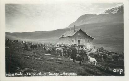 CPSM FRANCE 38 "L'Alpe d'Huez, Un chalet, passage de troupeaux".