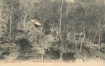 CPA NOUVELLE CALEDONIE "Une vue dans la Brousse"