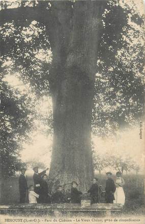 CPA FRANCE 78 " Behoust, Parc du château, le vieux chêne ".