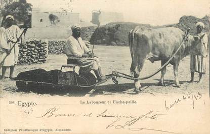 CPA EGYPTE "Le Laboureur et Hache paille"