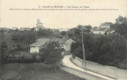 CPA FRANCE 71 " Flacé les Macon, Les coteaux et les vignes".