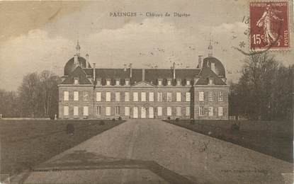 CPA FRANCE 71 "Palinges, Château de la Digoine".