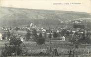 10 Aube CPA FRANCE 10 " Montier en l'Isle, Vue générale".