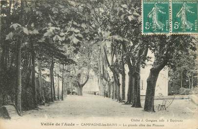 CPA FRANCE 11 " Campagne les Bains, La grande allée des platanes".