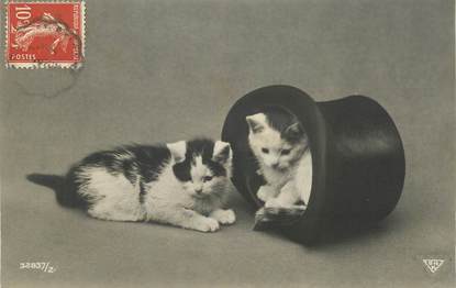 CPA CHAT "petits chats dans un chapeau"