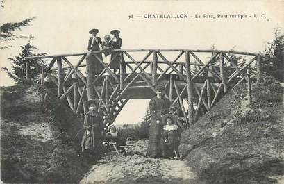 CPA FRANCE 17 " Châtelaillon, Le parc, pont rustique".