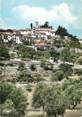 06 Alpe Maritime CPSM FRANCE 06 " Levens, Perspective sur le village".