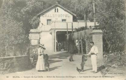 CPA ALGERIE "Blida, Gorges de la Chiffa, Hotel du Ruisseau des Singes"