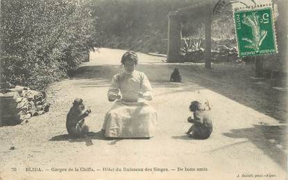 CPA ALGERIE "Blida, Gorges de la Chiffa, Hotel du Ruisseau des Singes"
