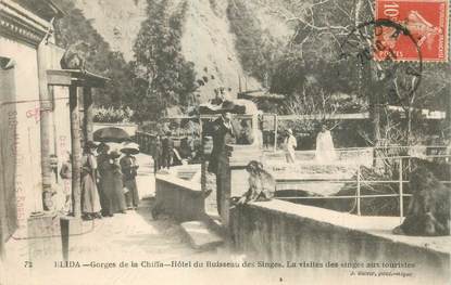 CPA ALGERIE "Blida, Gorges de la Chiffa, Hotel du Ruisseau des Singes"