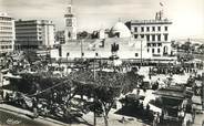 Algerie CPSM ALGERIE "Alger, Place du Gouvernement"