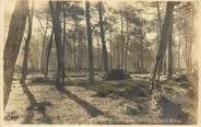 40 Lande CPA FRANCE 40 " Les Landes de Gascogne, La forêt au soleil de midi".