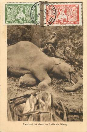 CPA VIETNAM / INDOCHINE "Eléphant tué dans les forêts de Giaray"