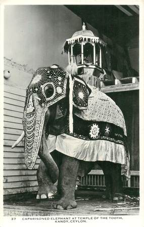 CPA SRI LANKA / CEYLAN "Eléphant"