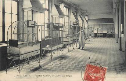 CPA FRANCE 75 "Paris 15ème, Institut Pasteur, la galerie des singes".