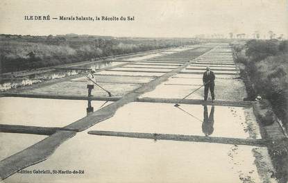 CPA FRANCE 17 " Ile de Ré, Marais salants, la récolte du sel".