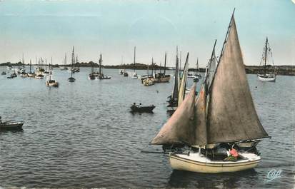 CPSM FRANCE 17 " Marennes, Voiliers au port".