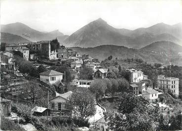 CPSM FRANCE 06 " Berre les Alpes, Vue générale et le Mont Beaudon"