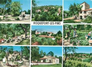 CPSM FRANCE 06 "Roquefort les Pins, Vues"