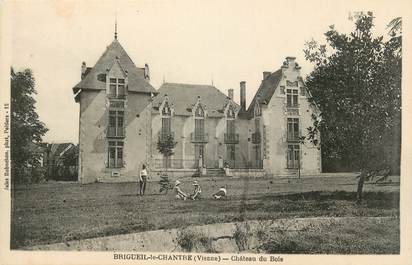 CPA FRANCE 36 "Brigueil le Chantre, Château du bois"