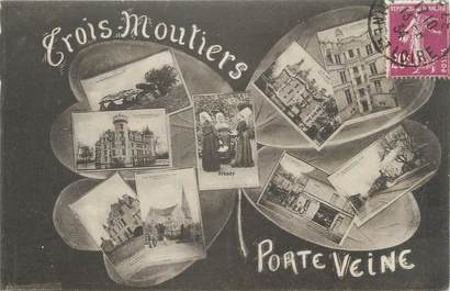 CPA FRANCE 86 " Les Trois Moutiers - Porte Veine, Vues"