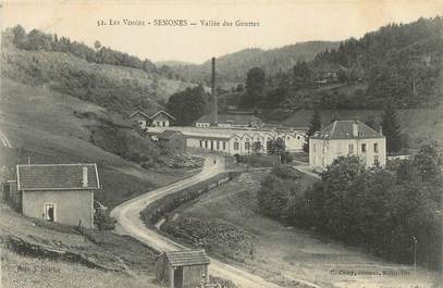 CPA FRANCE 88 " Senones, Vallée des Gouttes"