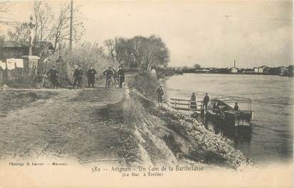 CPA FRANCE 84 " Avignon, Un coin de la Barthelasse"