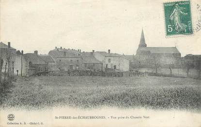 CPA FRANCE 79 " St Pierre des Echaubrognes, Vue prise du Chemin Vert"