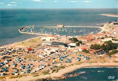 CPSM FRANCE 85 "Ile de Noirmoutier, le port de l'Herbaudière"