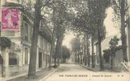 94 Val De Marne CPA FRANCE 94 " Parc St Maur, Avenue de Beauté"