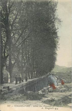 CPA FRANCE 83 " Solliès Pont, Allée des platanes de l'enclos"